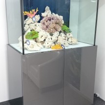 Tropical Aquarium 36x24x24 with high gloss cabinet