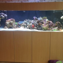 Marine 72x24x24 aquarium with modern cabinet design Prime Aquariums