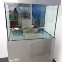 Marine Aquarium 36x30x24 in Grey High Gloss Acrylic (4)