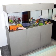 Marine Aquarium 60x24x24 Moder Cabinet Design in XyloCleaf Finish