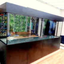 Marine Aquarium 96x30x24 Modern Cabinet Design in Black Ash