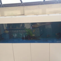 Marine Aquarium 96x30x30 Modern Design Cabinet in White Ash (1)