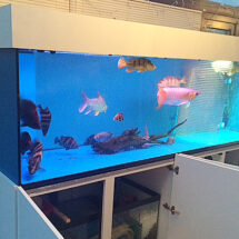 Marine Aquarium 96x30x30 Modern Design Cabinet in White Ash (4)