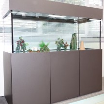 Tropical Aquarium 60x24x24 Modern Cabinet Design in Xylo Cleaf finish