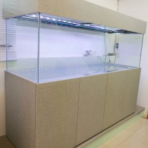 Tropical Aquarium 72x24x24 Modern Cabinet Xylo Tatami Primo Fiore