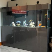 Tropical aquarium 60x24x24 in high gloss grey