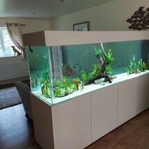 Tropical room divider tank 96x30x24 in Stone Grey