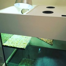 Turtle Aquarium 60x18x18 Modern Cabinet in White Ash with UV/heat light on